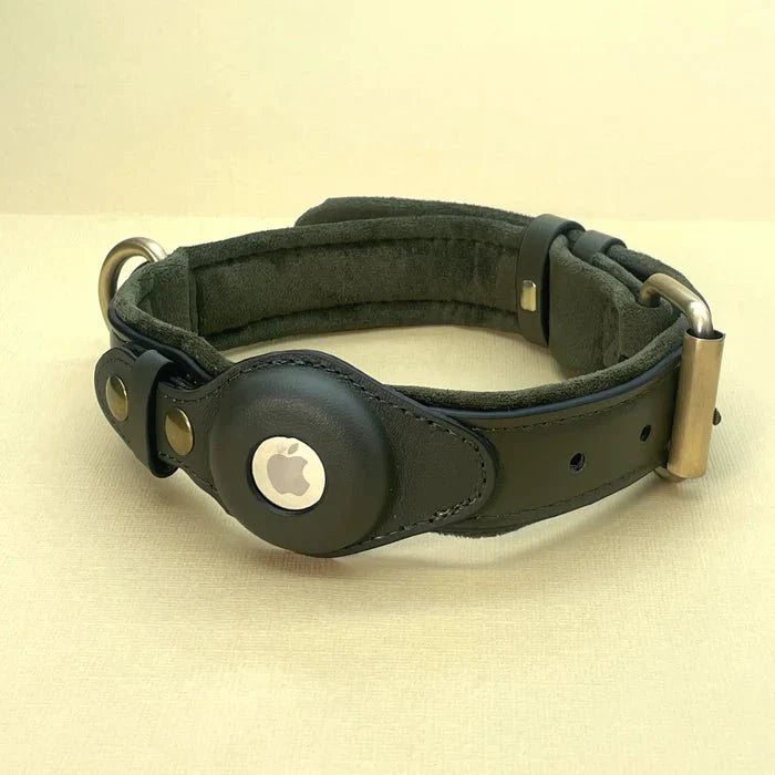 Collier de Chien – Suivi Facile avec AirTag pour la Sécurité et le Confort Premium AirTag Dog Collar Electro Paris Vert S