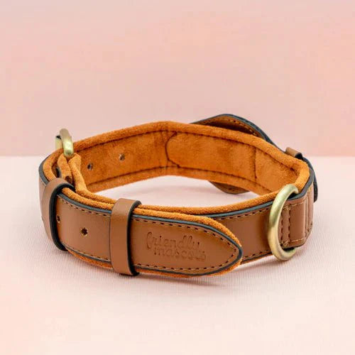 Collier de Chien – Suivi Facile avec AirTag pour la Sécurité et le Confort Premium AirTag Dog Collar Electro Paris