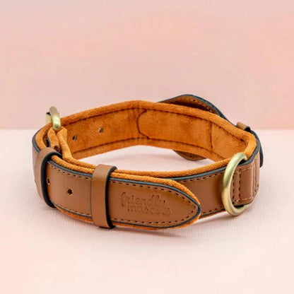 Collier de Chien – Suivi Facile avec AirTag pour la Sécurité et le Confort Premium AirTag Dog Collar Electro Paris