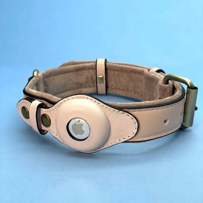 Collier de Chien – Suivi Facile avec AirTag pour la Sécurité et le Confort Premium AirTag Dog Collar Electro Paris Rosa S