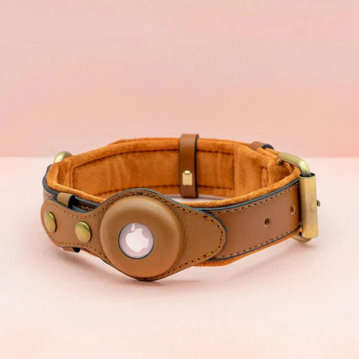Collier de Chien – Suivi Facile avec AirTag pour la Sécurité et le Confort Premium AirTag Dog Collar Electro Paris