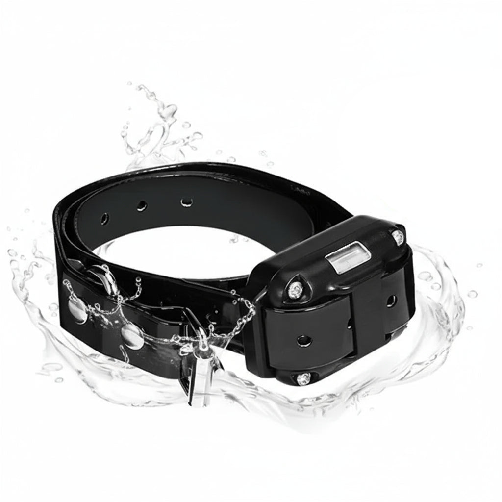 Collier Pour Chien De Dressage Électrique Étanche Avec Télécommande Pet Accessories Electro Paris