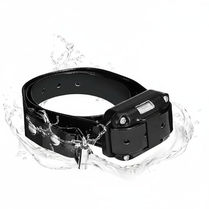 Collier Pour Chien De Dressage Électrique Étanche Avec Télécommande Pet Accessories Electro Paris