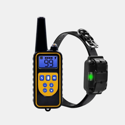 Collier Pour Chien De Dressage Électrique Étanche Avec Télécommande Pet Accessories Electro Paris 1 télécommande + 1 collier noir