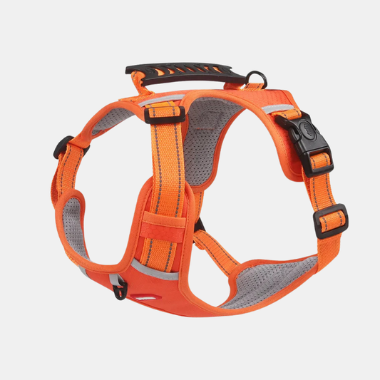 Harnais Pour Chien Confortable Et Sécurisé Pour Des Balades Sans Stress Harnesses Electro Paris Orange XS (2.5-5 KG)