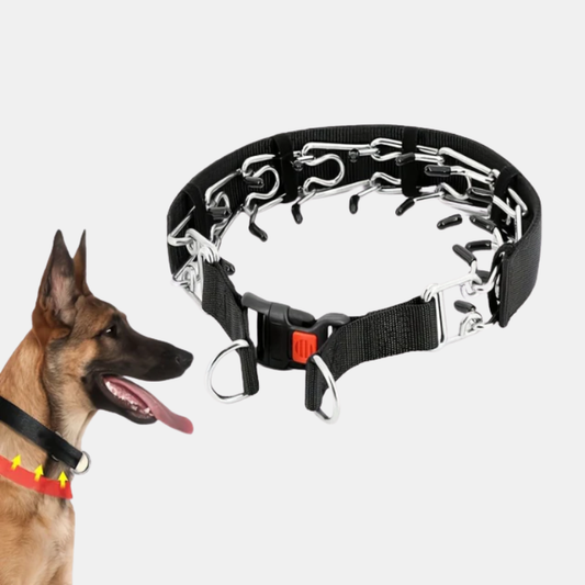 Collier pour Chien Résistant avec Fermeture Rapide – Contrôle Anti-Traction et Confort Quotidien Training, Choke & Pinch Collars Electro Paris Noir S