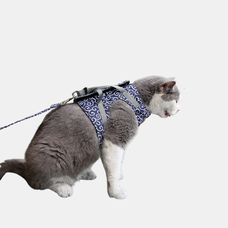 Harnais Pour Chat Anti-Fuite Avec Laisse Assortie Pour Balades Sécurisées Et Confort Optimal Pet harness Electro Paris Bleu XS